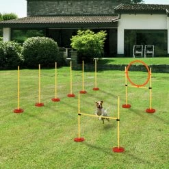 PawHut Agility Sport Pour Chiens équipement Complet Haies, Slalom + Sac De Transport Jaune - Jaune -PawHut Soldes Boutique 19917419 4