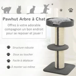 PawHut Arbre à Chat Avec Griffoir Centre D'activités 2 Plateformes Coussin Gris 5 PawHut Arbre à Chat Avec Griffoir Centre D'activités 2 Plateformes Coussin Gris -PawHut Soldes Boutique 23460879 4