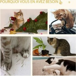 PawHut Arbre à Chat 2 Griffoirs Niche Entrée Tête De Chat Plateforme D'observation Jouet Suspendu Coussins Amovibles Peluche Grande Douceur Aspect Bois Clair - Beige -PawHut Soldes Boutique 44066364 4