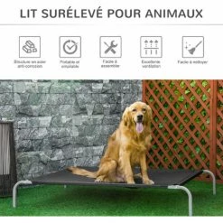 PawHut Lit Pour Chien Chat XXL Grand Confort Sur Pied Dim. 130L X 90l X 20H Cm Métal époxy Textilène Micro-perforé Noir -PawHut Soldes Boutique 50909198 5