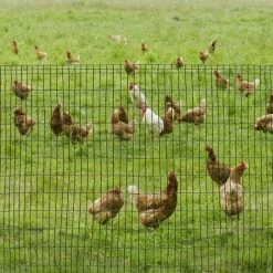 PawHut Grillage Rouleau Soudé - Grillage à Poule - Maille 5L X 10H Cm - Hauteur 1,22 M - Longueur 10 M - Acier Revêtement PVC Vert 4 PawHut Grillage Rouleau Soudé - Grillage à Poule - Maille 5L X 10H Cm - Hauteur 1,22 M - Longueur 10 M - Acier Revêtement PVC Vert -PawHut Soldes Boutique 51254847 5