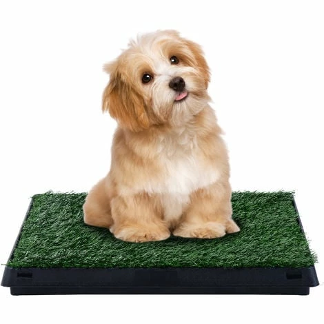 PawHut Litière gazon synthétique chiens toilettes portables à pelouse tiroir à déjection 63L x 51l x 6H cm noir vert - Vert PawHut Litière Gazon Synthétique Chiens Toilettes Portables à Pelouse Tiroir à Déjection 63L X 51l X 6H Cm Noir Vert - Vert -PawHut Soldes Boutique 7973811 2